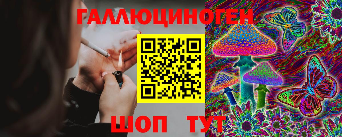 Псилоцибиновые грибы мицелий  Псилоцибиновые грибы Psilocybe  Асино  Вход с VPN 