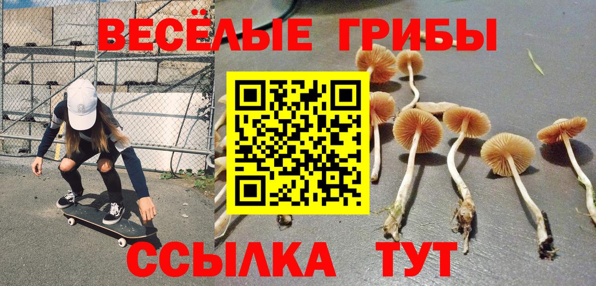 Галлюциногенные грибы Cubensis Асино